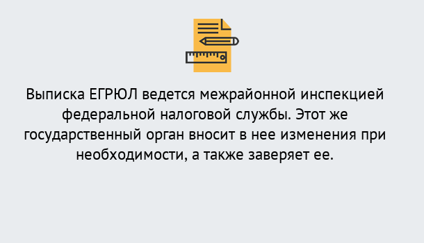 Почему нужно обратиться к нам? Красный Сулин Выписка ЕГРЮЛ в Красный Сулин ?