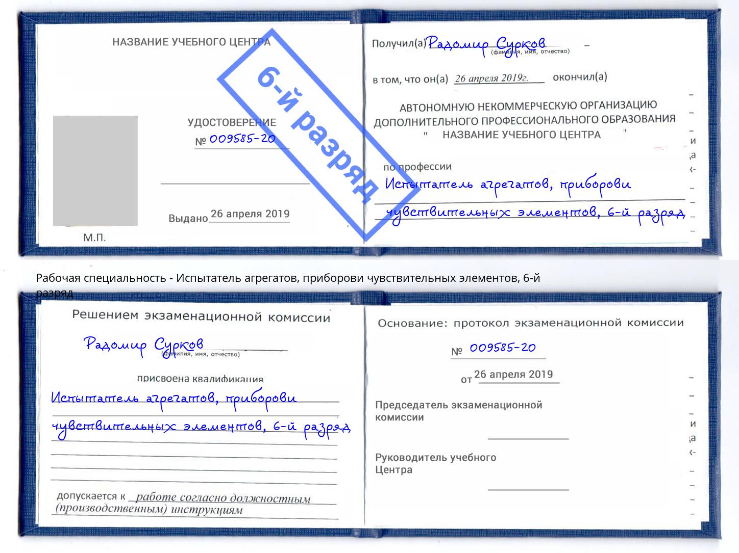 корочка 6-й разряд Испытатель агрегатов, приборови чувствительных элементов Красный Сулин