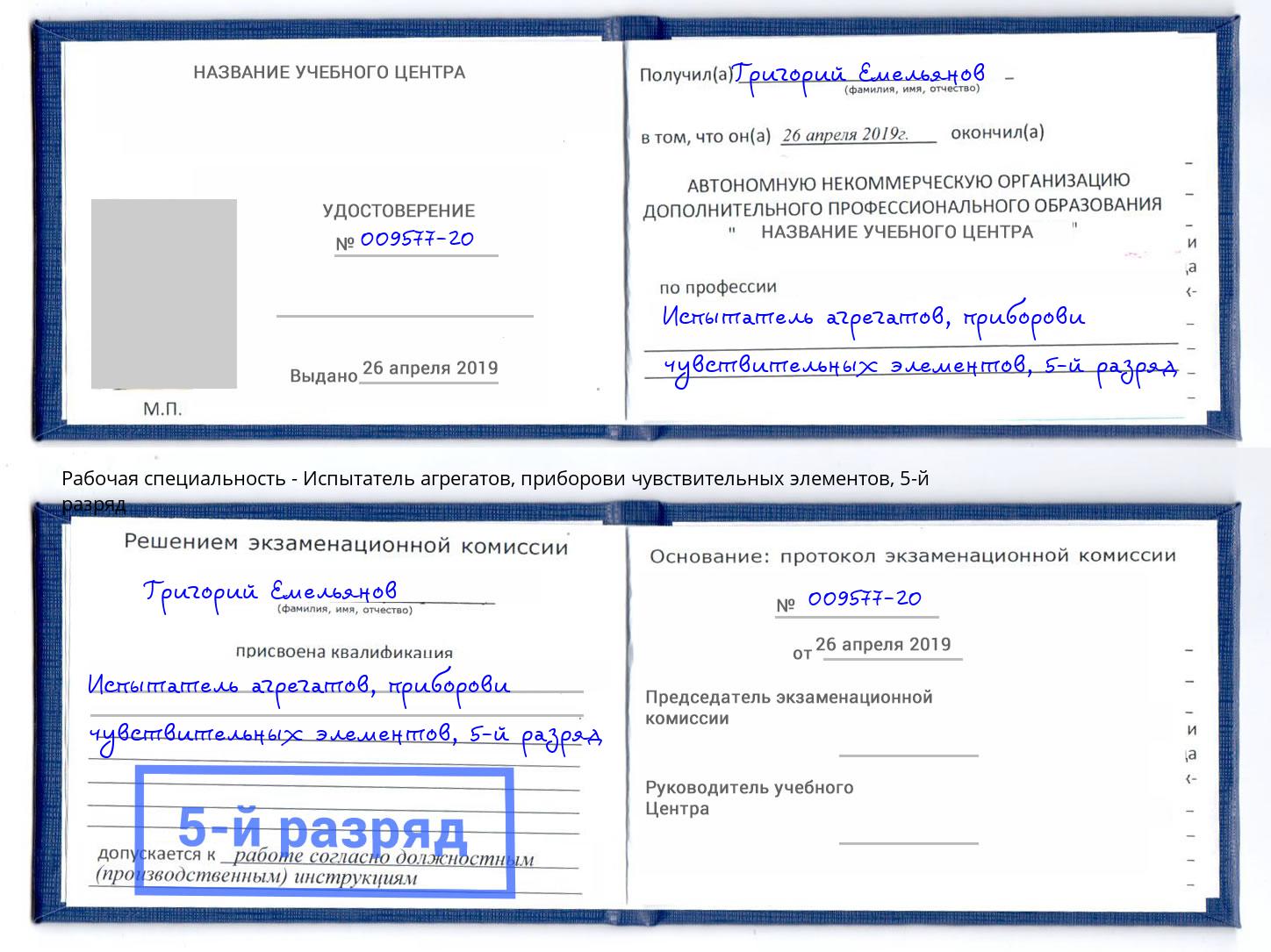 корочка 5-й разряд Испытатель агрегатов, приборови чувствительных элементов Красный Сулин