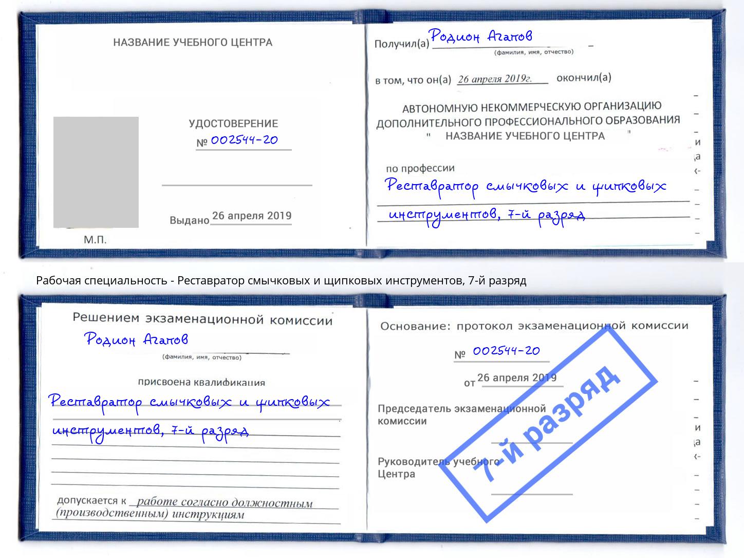 корочка 7-й разряд Реставратор смычковых и щипковых инструментов Красный Сулин